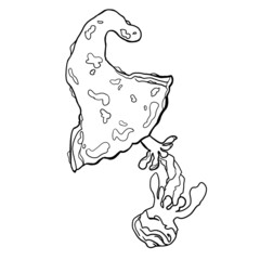 coloring book for children. stylized black line mushrooms.