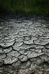 Dried out earth with cracks and grass in the background