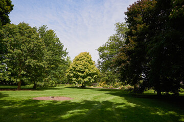 Beautiful colorful summer spring natural landscape with a lake in Park surrounded by green foliage of trees in sunlight and stone path in foreground.