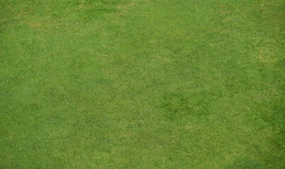 Green grass texture background, Top view of grass garden Ideal concept used for making green...