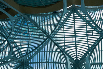 Obraz premium Close-up image of black pepper on a white background, the view above