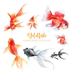 Fotobehang 7 goldfish watercolor collection.  © weeramix