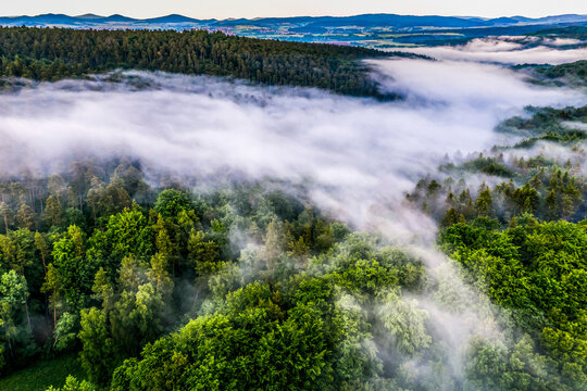 Panoramic aerial view of fog covering the tree tops, Hessia, Germany.