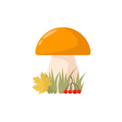 Mushroom with brown cap in grass, autumn fallen maple leaf and rowan brush. Autumn landscape. Collect mushrooms. Vector cartoon illustration isolated on white background