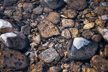 Stones in the River, Stoney River rocks, rocky river bed, river bed with rocks