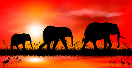 Fototapeta na wymiar Elephants at sunset by the lake. Silhouettes of elephants on the background of the sunset. Elephants on the background of sunset by the lake