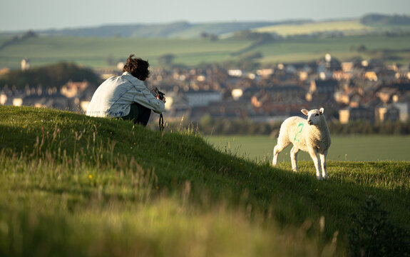 Young female sitting on the grass on top of a hill while taking pictures of a group of sheep that is eating grass in front of her