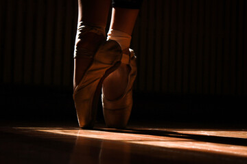 pointe shoes ballet