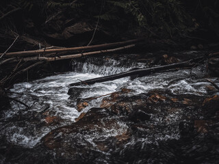 Rushing Creek