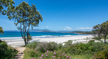 discovery of the island of beauty in southern Corsica, France