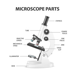 Microscope Parts, Structure Anatomy. Vector 3d Realistic White Laboratory Microscope Isolated on White. Chemistry, Biology Tool. Science, Lab, Research, Education Infographics. Design Template