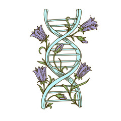 DNA chain decorated with flowers. Color. Engraving style. Vector illustration.