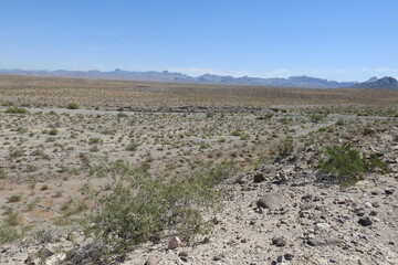 The beautiful scenery of the Mojave Desert, with the Black Mountains in the background, Mohave County, northwestern Arizona.