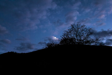Luna llena entre nubes