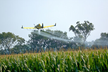 Low flying Crop Duster applying insecticide to the corn fields