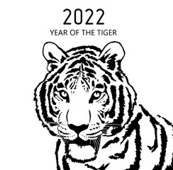 
Zodiac 2022 beautiful tiger year of the tiger. Depicted cartoon tiger vector graphics.