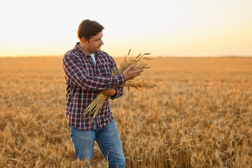Naklejka na ściany i meble Satisfied young farmer with a bunch of ripe wheat