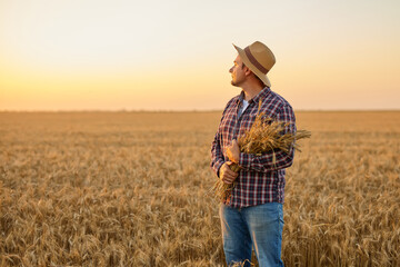 Naklejka na ściany i meble Satisfied young farmer with a bunch of ripe wheat