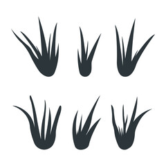 Collection of aloe vera green plants. Flat icons for logo, symbol, label and sticker