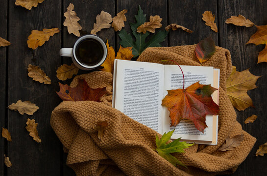 Fallen Leaves, Coffee and Open Book Flat Lay Photo. Autumn Cozy Composition on wooden background. Cup of coffee, book and foliage. Rustic, warm, relax morning concept
