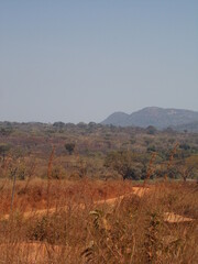 Beautiful Landscape of the African Savannah