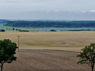 Fototapeta premium Landschaft auf Rügen Jasmund