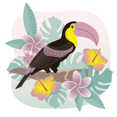 Toucan. Exotic birds. Tropical flowers. Vector image.