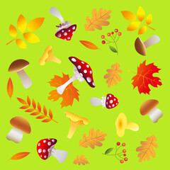 Autumn pattern with mashrooms and leaves on green   background