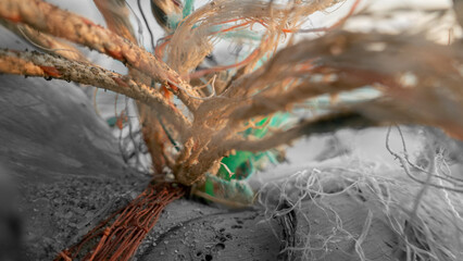 Trash pollution on the beach