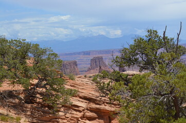Fototapeta na wymiar Canyon land National Park