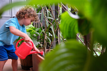 Child watering plants at home