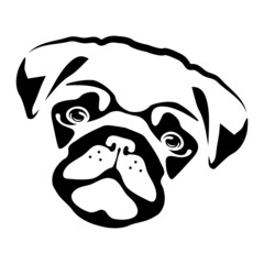 Joyful black pug head silhouette. Kind outline of domestic dog with cute muzzle. Charming friend looks lovingly at vector owner