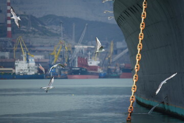 Fototapeta premium ship in the port