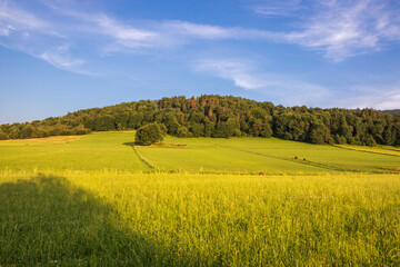 Green meadow in the rays of setting sun at the foot of a wooded hill