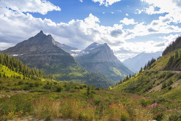 Fototapeta premium View into valley and mountains in Glacier National Park, Montana, USA