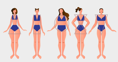 Types of female figures. Woman body