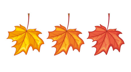 Autumn maple leaves isolated, yellow and red.