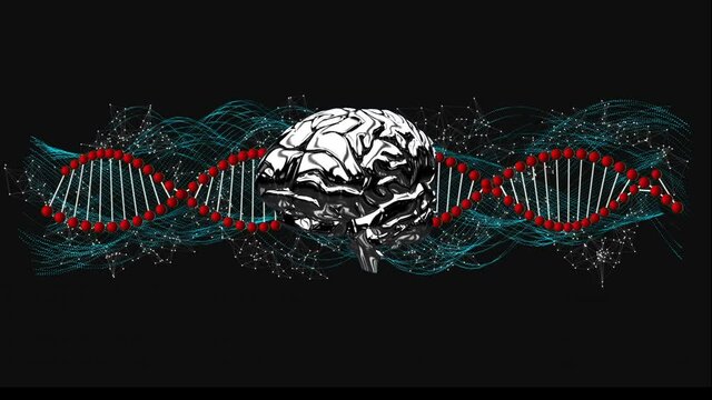 Animation of dna strand spinning over network of connections and brain