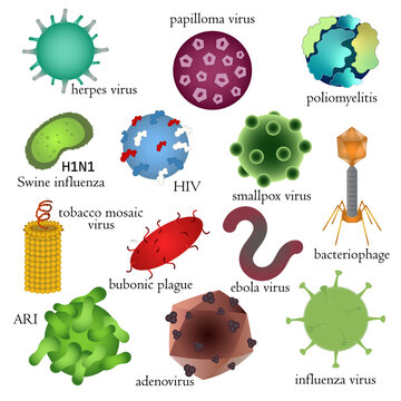 Set of dangerous human viruses. Medical illustration. 