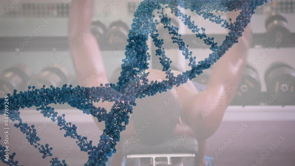 Aufkleber animation of dna strand spinning and data processing over strong man exercising