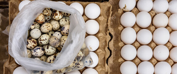 Bukhara market (Bazaar)