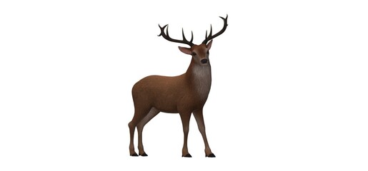 3d reindeer on a white background