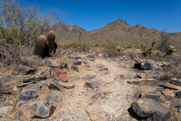 Hiking Trail in Sonoran Desert