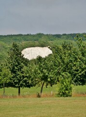 Kreidefelse in Neddesitz