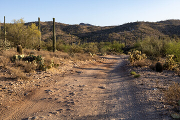 Desert Landscape with an Off-Road Trail