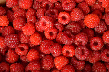 Arrière plan de framboises