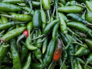 green and red chilis background closeup. 