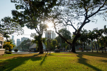 Beautiful nature at morning with sun in big city park