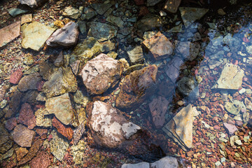 Colorful rocks in Virginia River, Glacier National Park, Montana