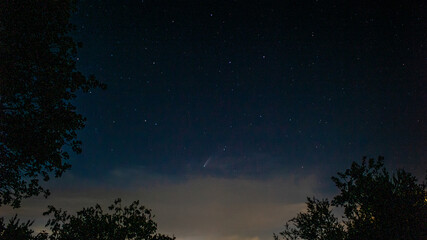 Obraz na płótnie Canvas Neowise Comet